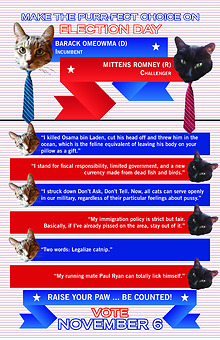 MAKE THE PURR-FECT CHOICE ON ELECTION DAY
