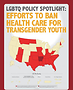Efforts to Ban Health Care for Transgender Youth.