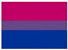 National groups kick off #BiWeek to celebrate bisexuality+ visibility