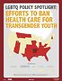Efforts to Ban Health Care for Transgender Youth