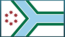 Cook County selects new flag as area approaches 200th anniversary