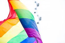 Batavia-police-looking-into-Pride-flag-thefts