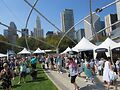 Chicago Gourmet. Photo by Jerry Nunn