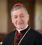 Cardinal Blase Cupich (above) called the latest news about Father David Ryan 