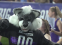 The NU mascot didn't have much to cheer about during the Sept. 24 game. Image courtesy of the school