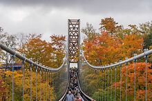 ATTRACTIONS SkyBridge Michigan opens as world's longest timber-towered suspension bridge