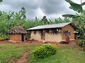 Uganda. Photo by Timon Cornelissen for Pexels