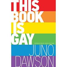 Illinois middle-school teacher loses job for promoting 'This Book Is Gay'